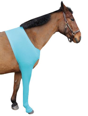 Forbensforbinding Str. L/Hest